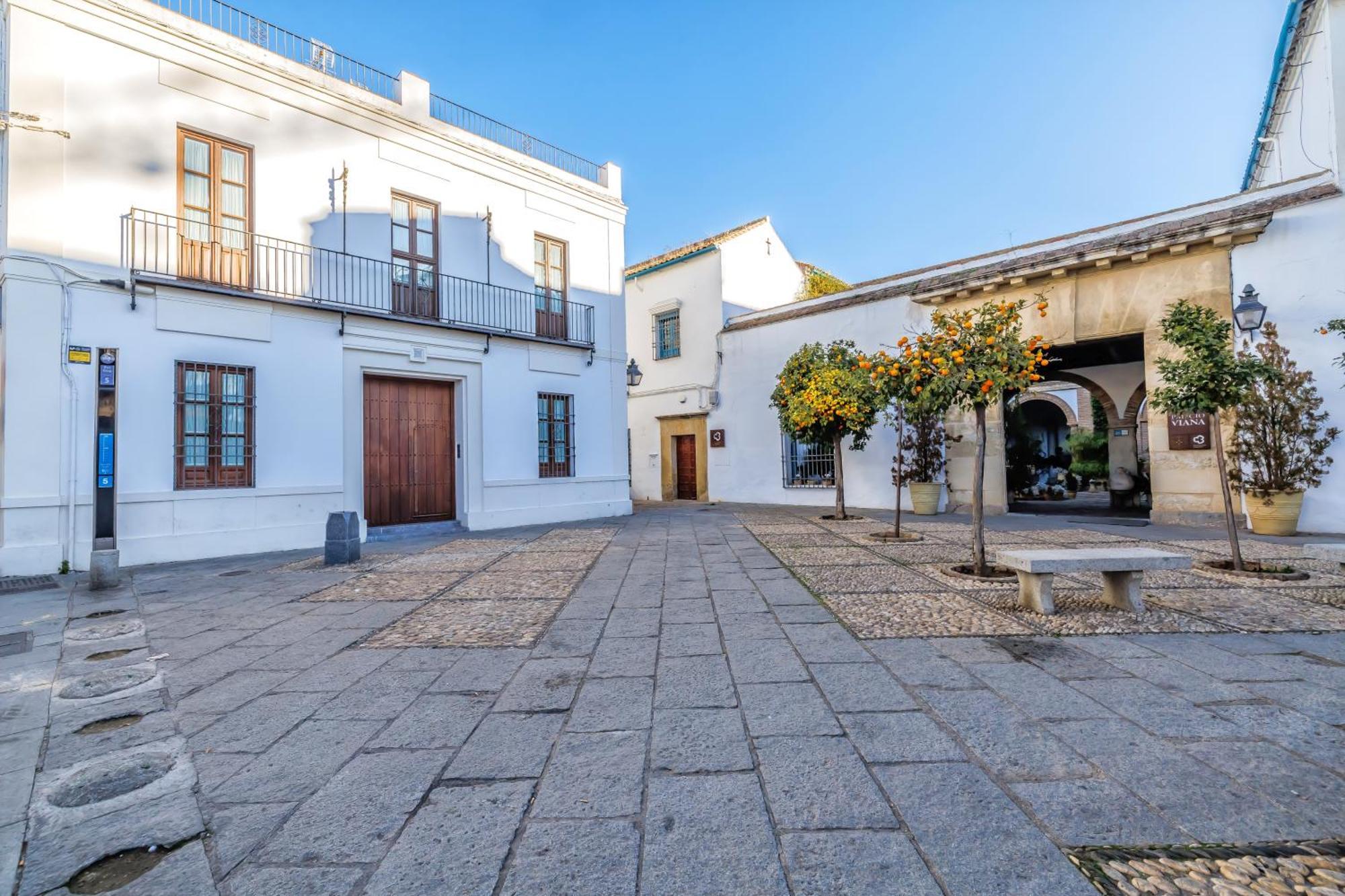 Palacio De Viana & Centro Córdoba