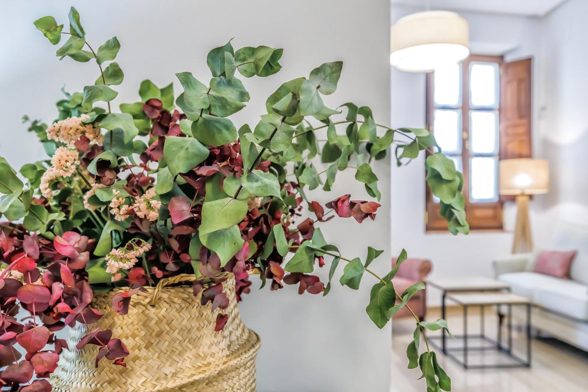 Apartamento Palacio De Viana & Centro Córdoba